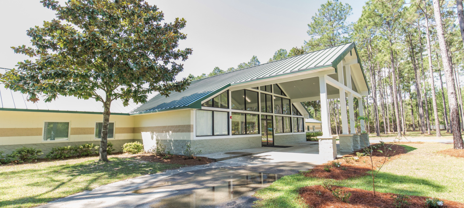 Front entrance with glass windows surrounded by tall pine trees