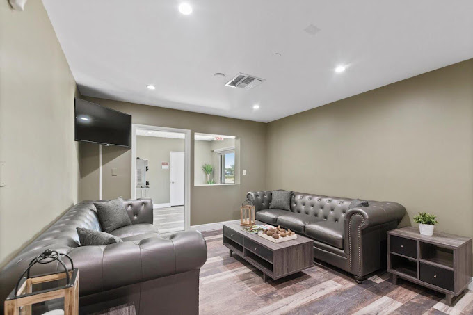 Lounge with two tufted leather sofas and TV