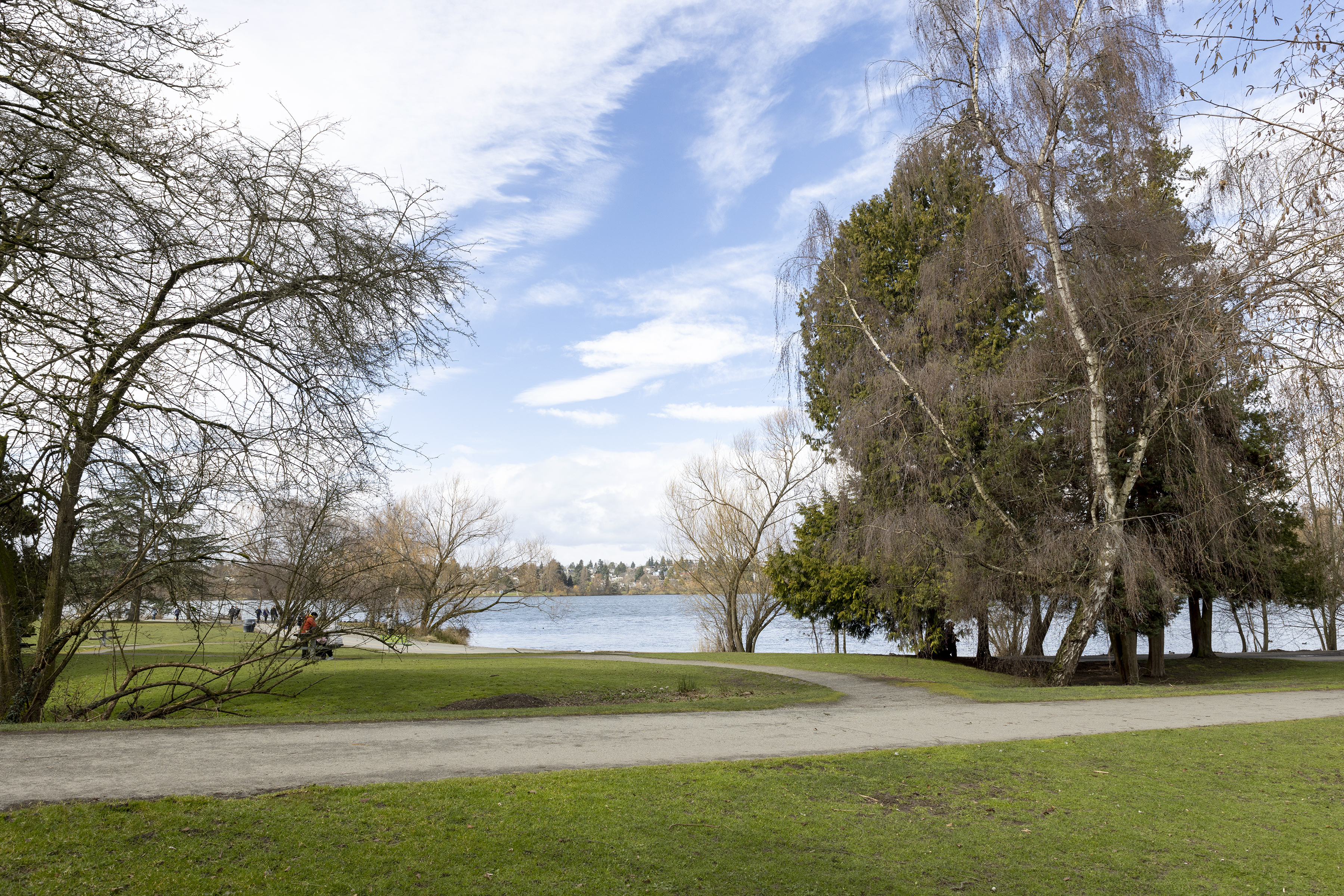 Walking path near lake with bare trees and grass