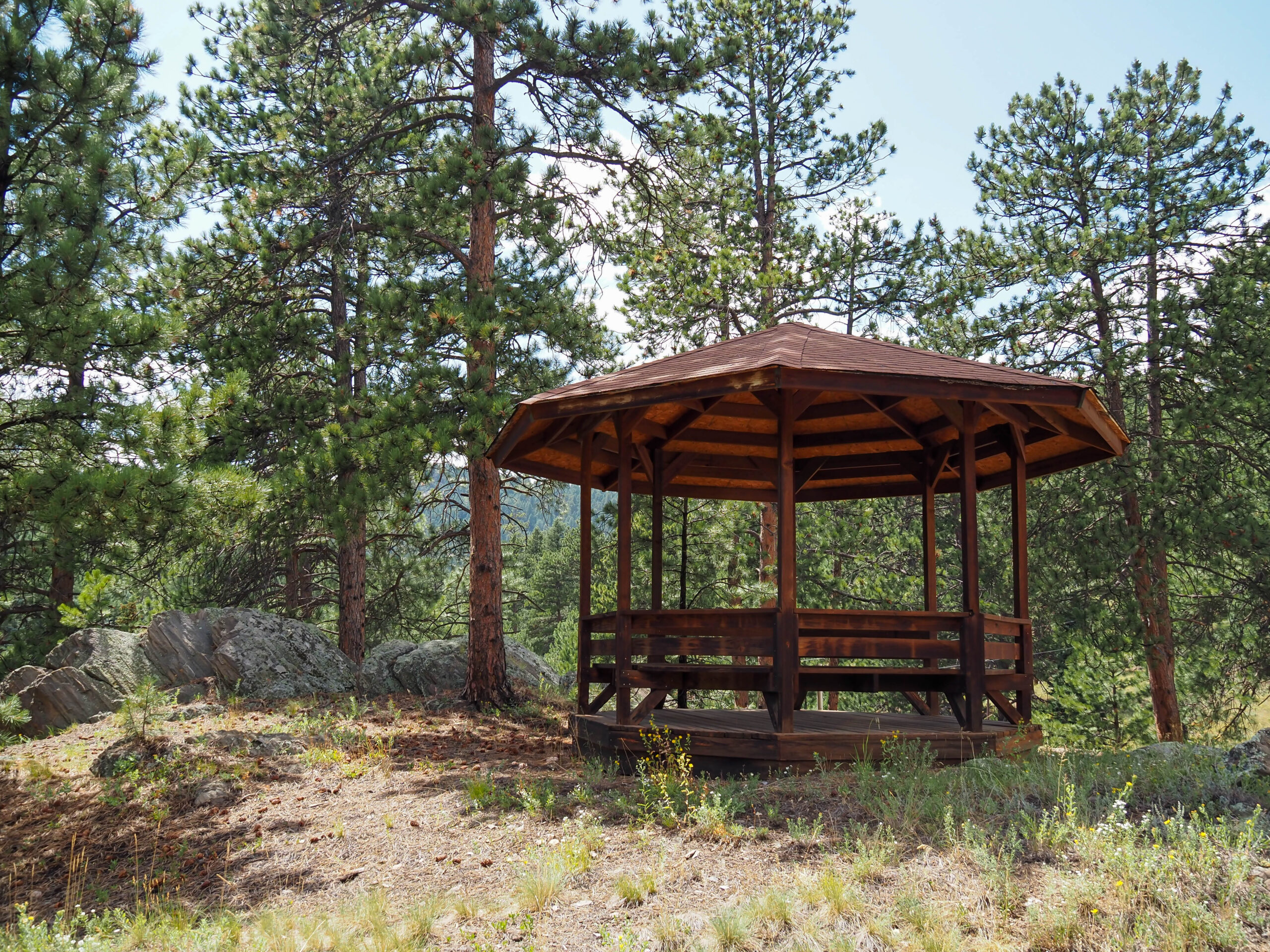 Wooden gazebo surrounded by pine trees in forest clearing