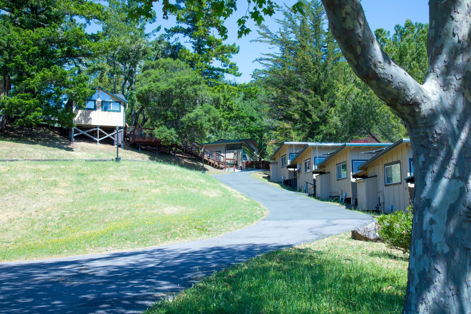 Residential cabins connected by paved walkways