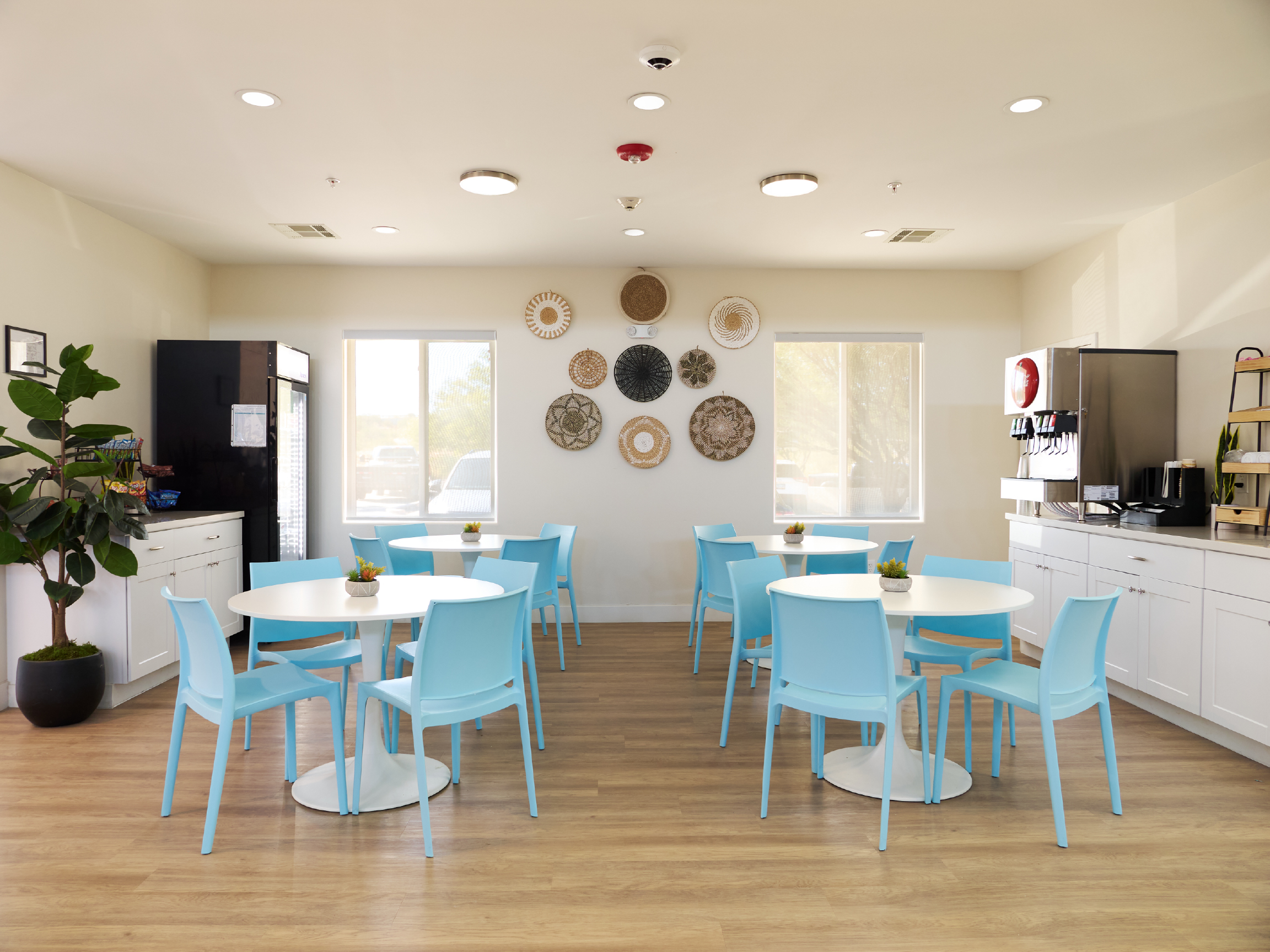 Bright dining room with round tables, blue chairs, and windows.