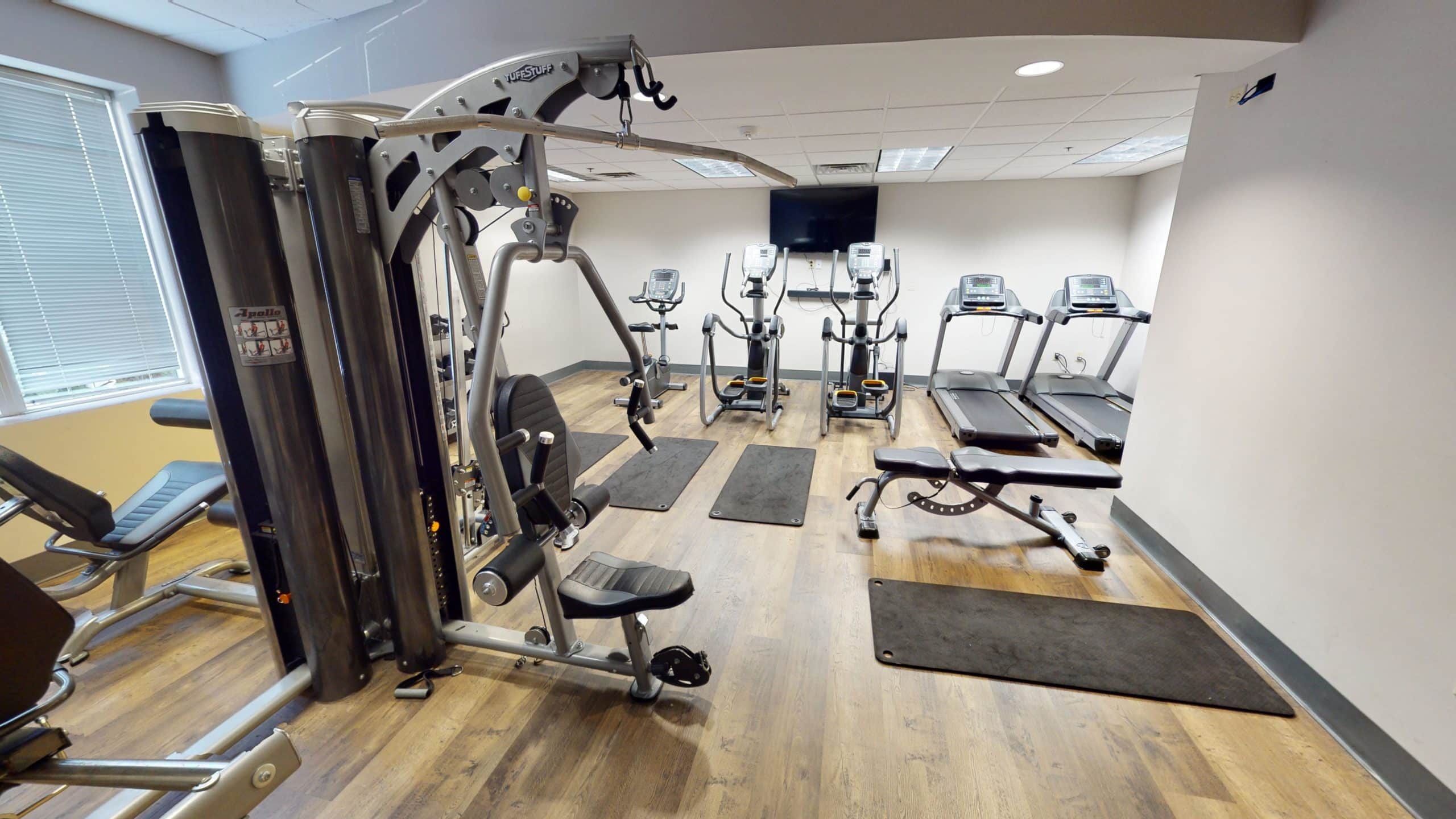 Gym with treadmills and weight machines for exercise