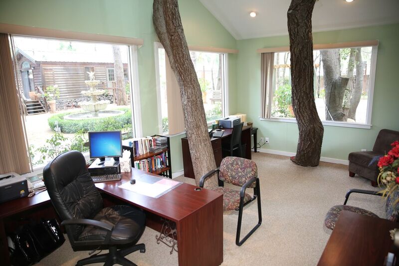 Office with desks and large windows looking out to garden trees