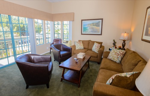 Cozy living room with couches and chairs near windows
