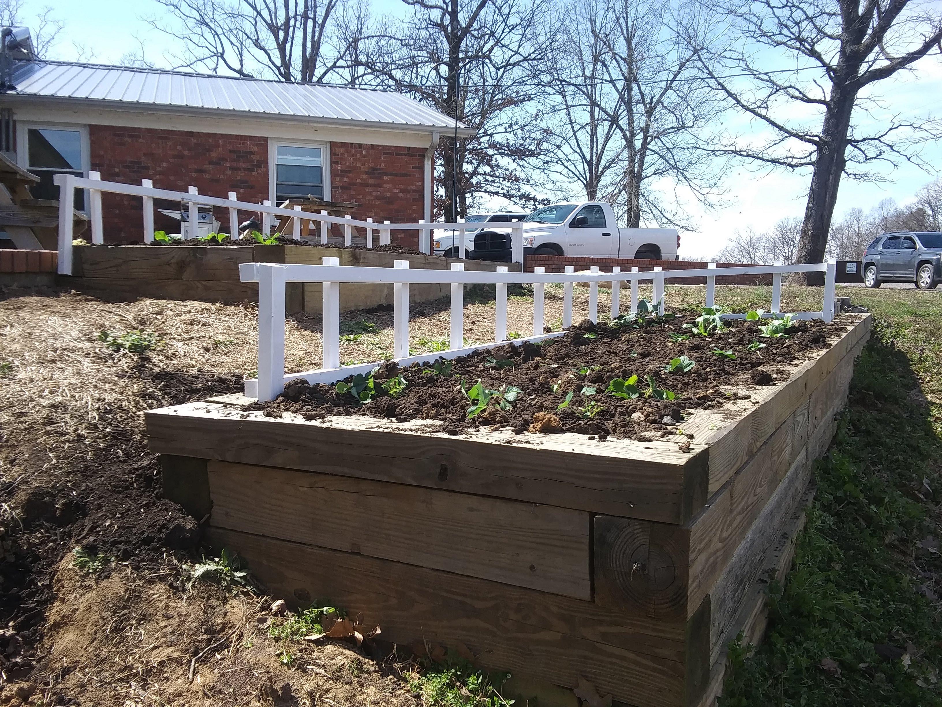 Freshly planted raised garden beds with white railings