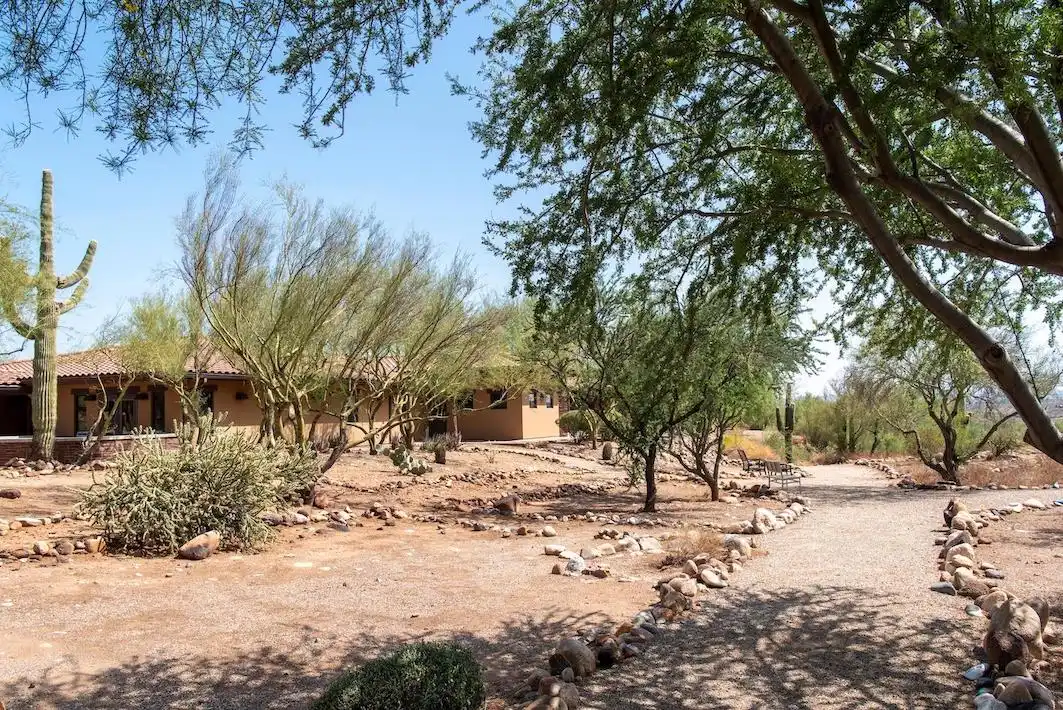 Pathway through desert trees near the rehab facility