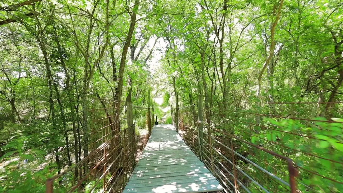 Shaded walking path with railings winding through dense green woodland at Discovery Point Retreat Waxahachie
