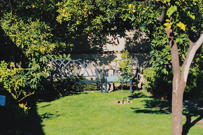 Revive Detox Los Angeles 5