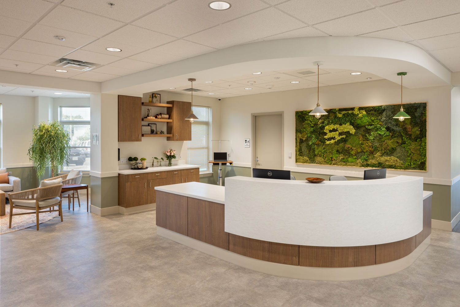 Modern, clean reception desk with natural wood finishes and greenery on wall