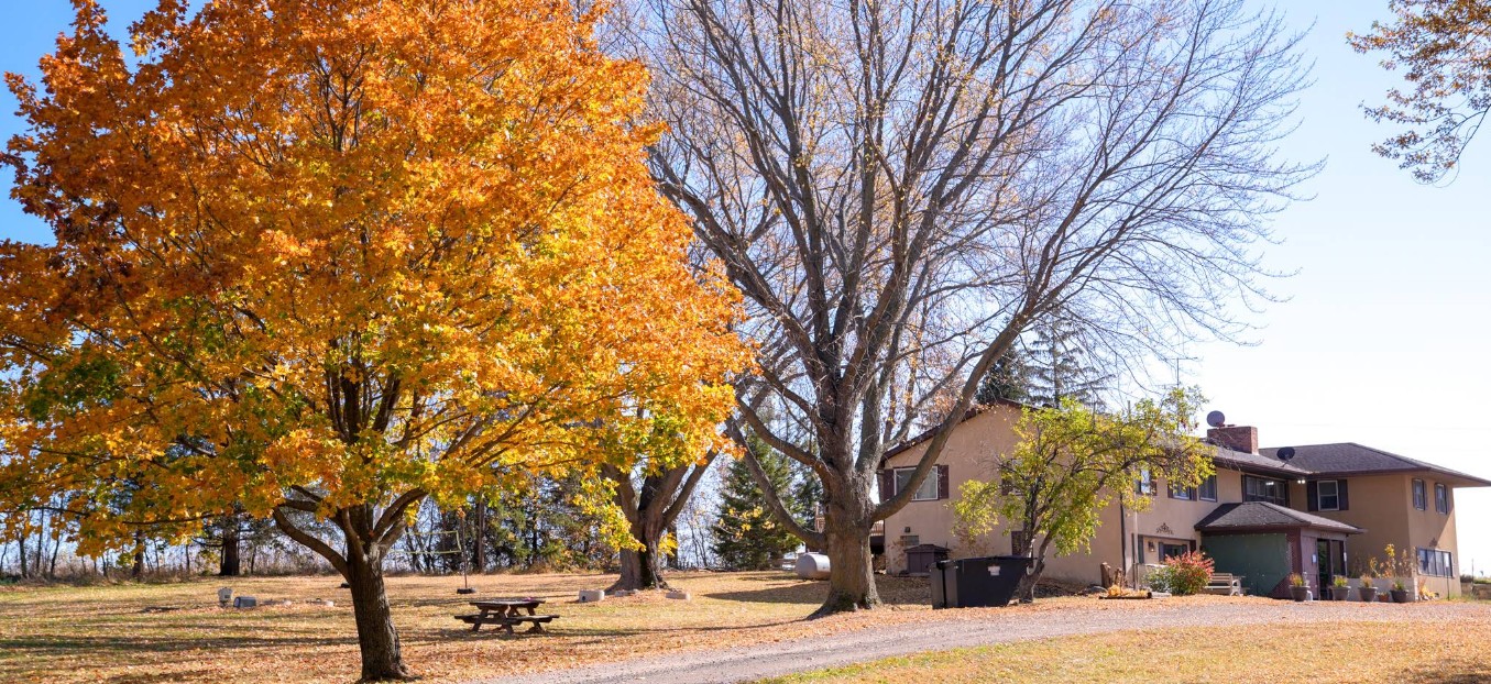 Autumn trees and residential rehab home on a quiet rural property
