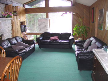 Lounge with black sofas, green carpet, and fireplace
