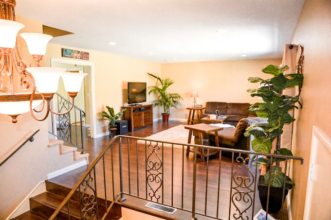 Spacious living room with sofas, TV, and indoor plants