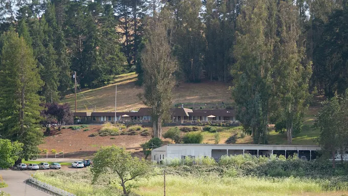 Rehab buildings and trees on hillside campus