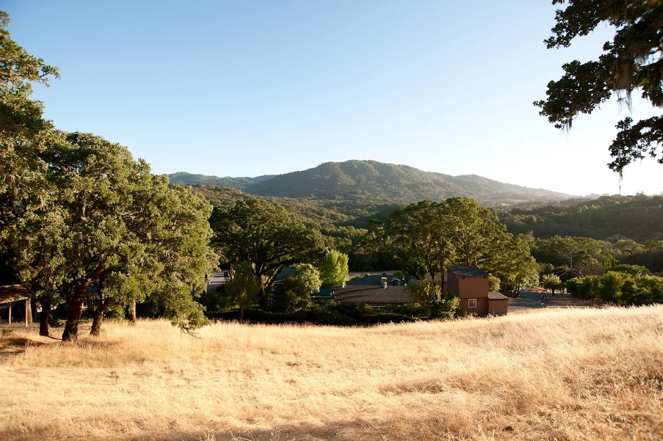 Scenic mountain landscape with grassy fields and trees
