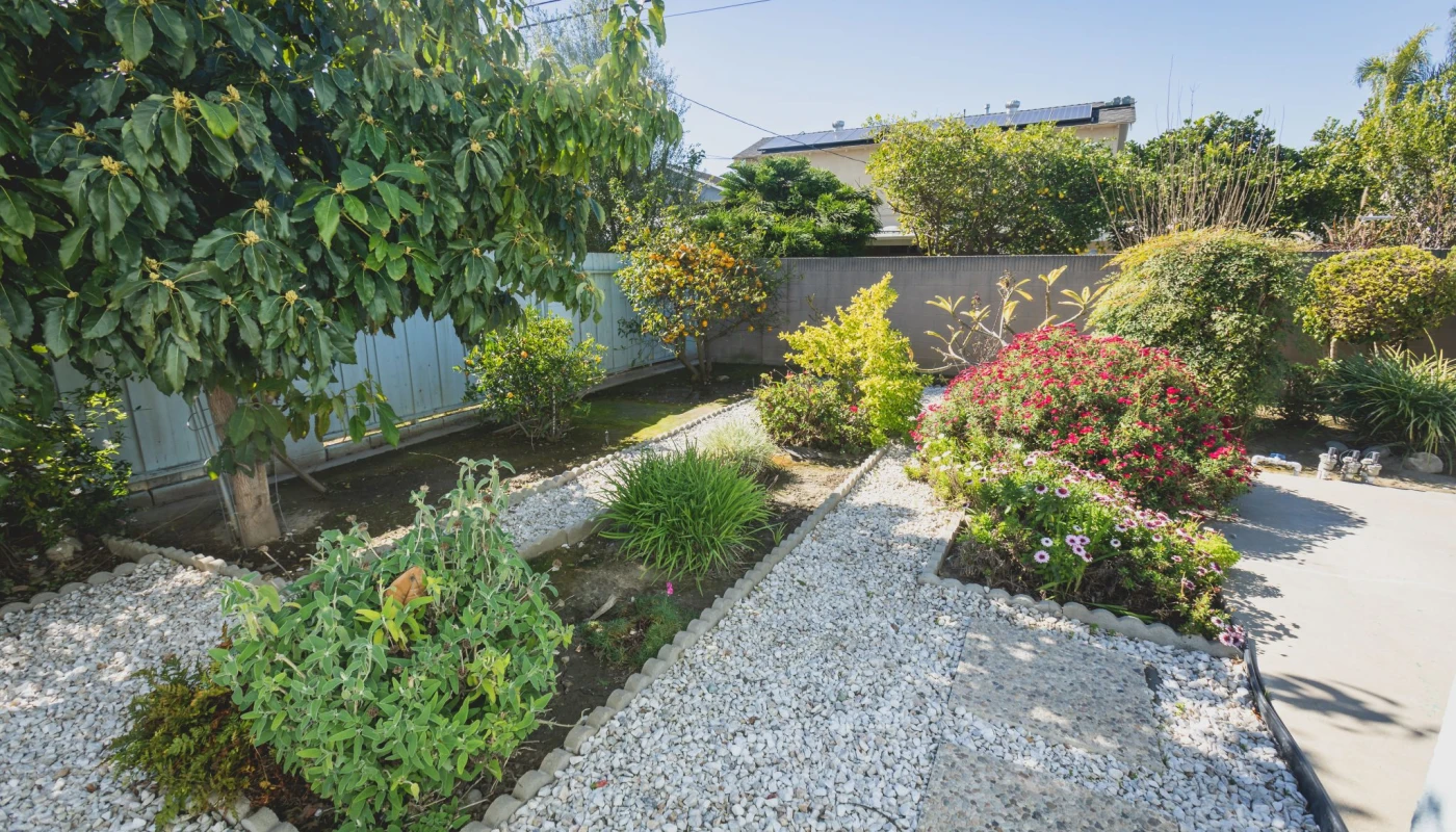 Manicured garden with flowering plants and gravel path