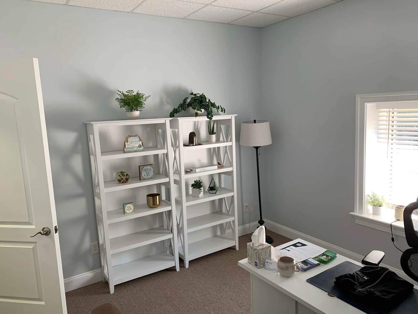 Counseling office with white bookshelves, desk, plants, and window