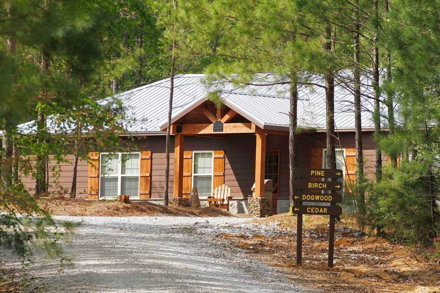 Cabin surrounded by pine trees with wooden accents