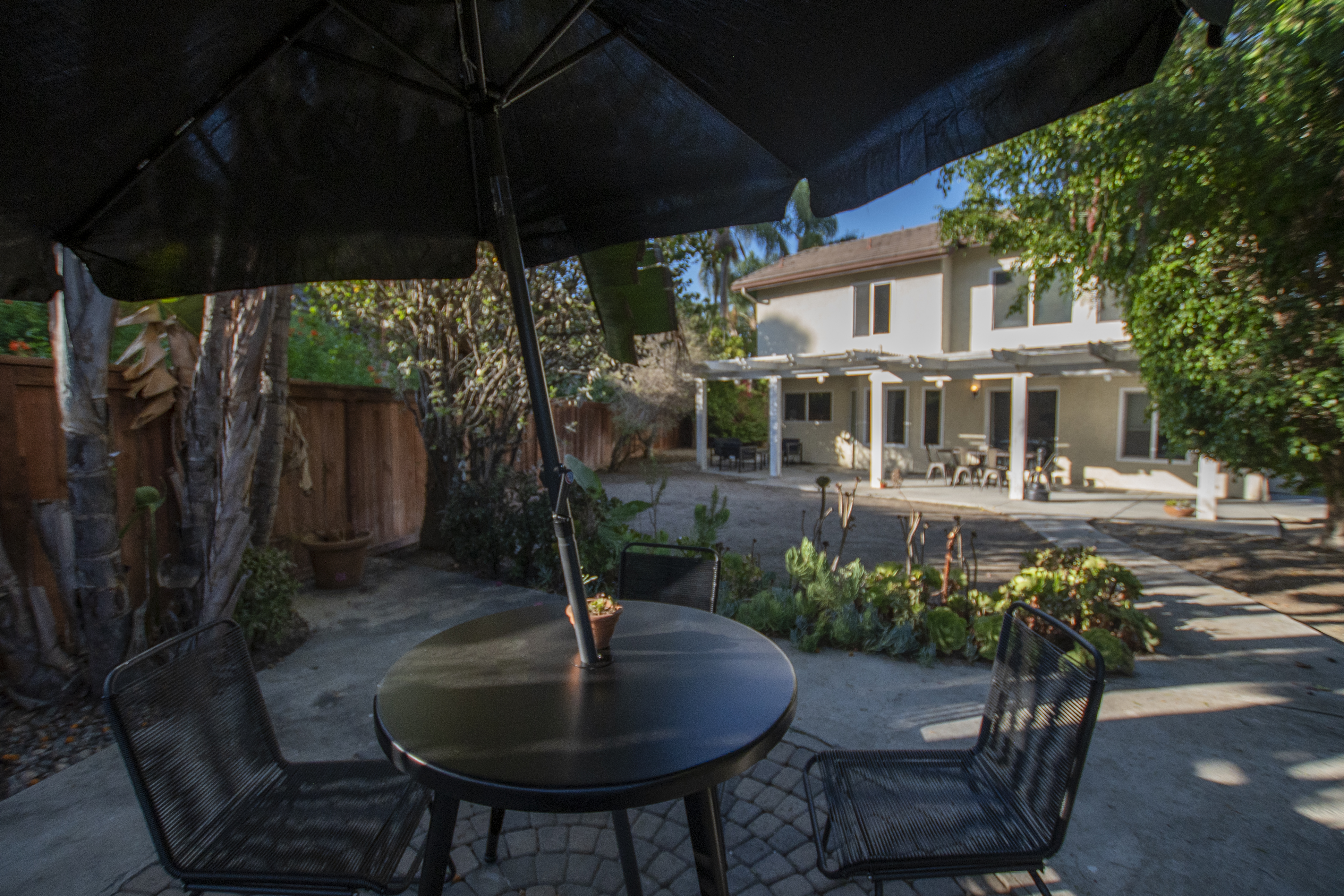 Shaded patio table surrounded by tropical plants