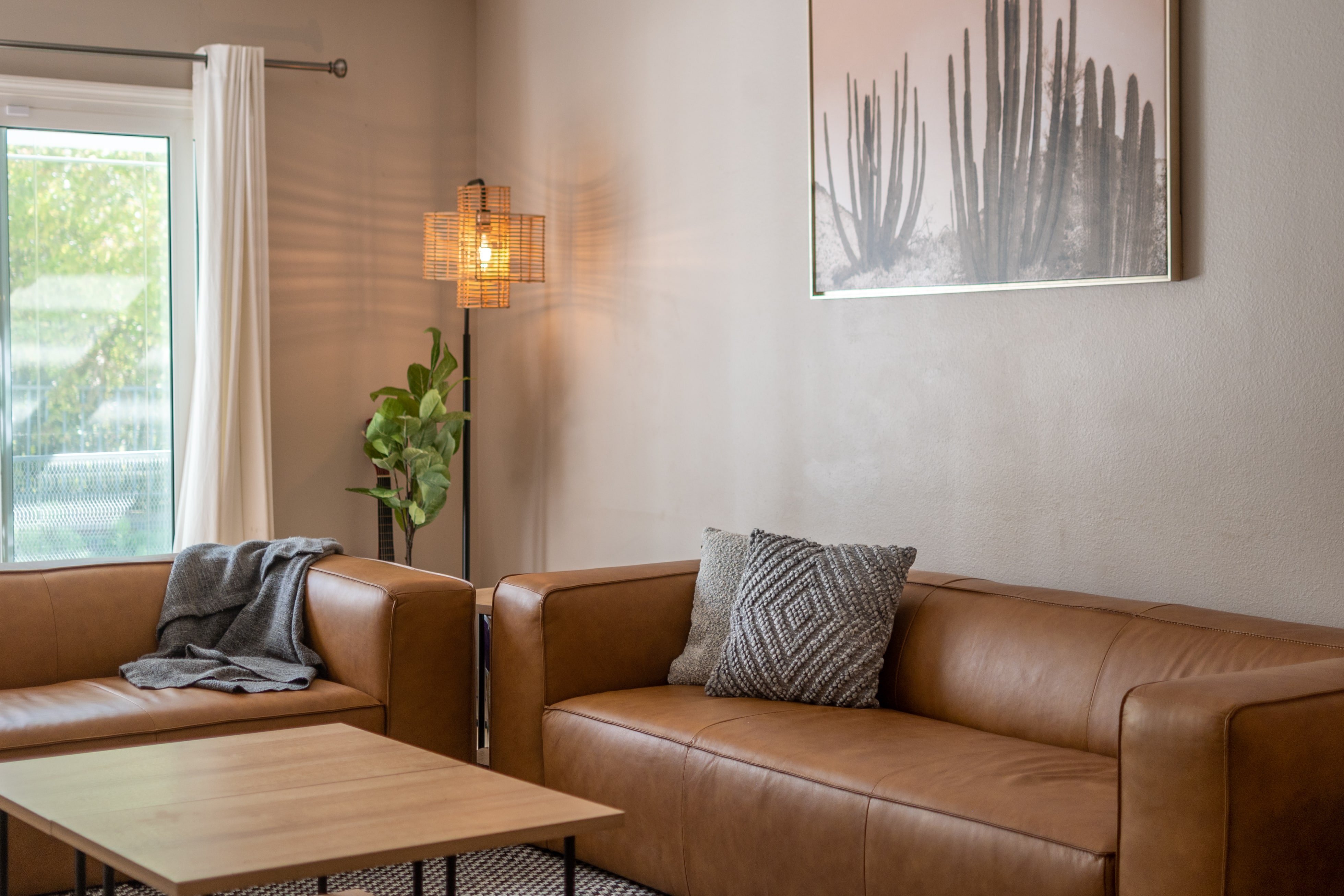 Woven lamp and potted plant near brown sofa