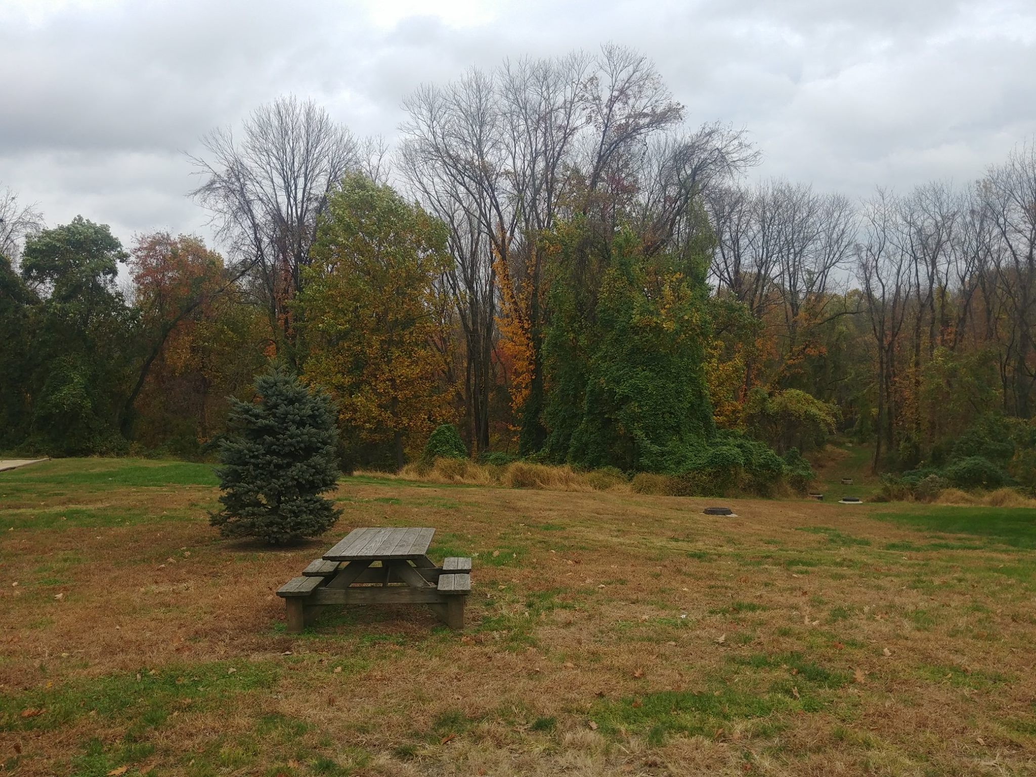 Open grassy field with picnic table and trees in the distance