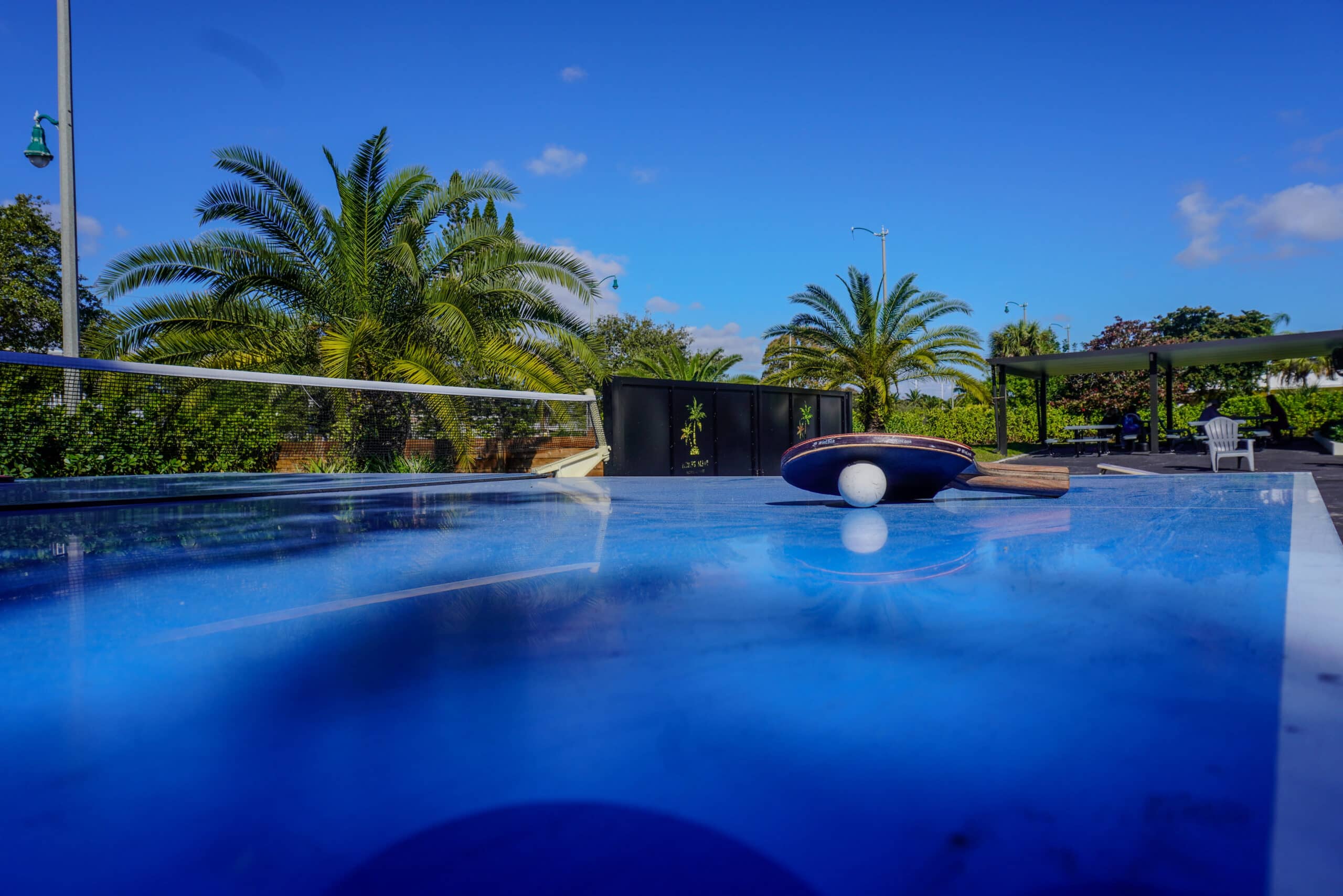 Blue ping pong table set outside under palm trees
