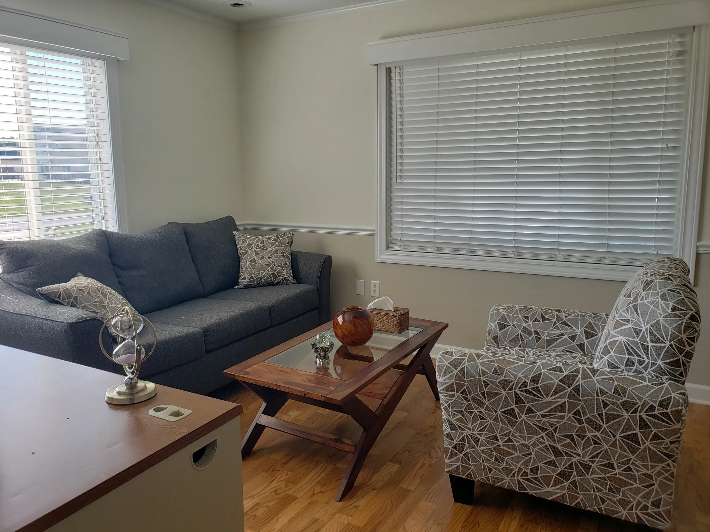 Cozy therapy lounge with sofa and patterned armchair.