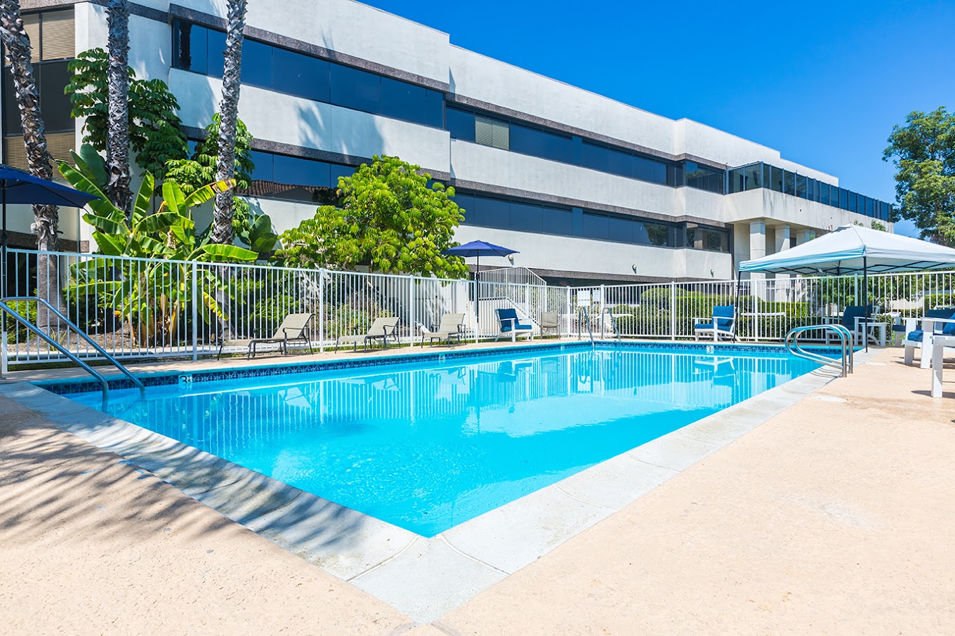 An outdoor pool area with lounge chairs and tropical plants