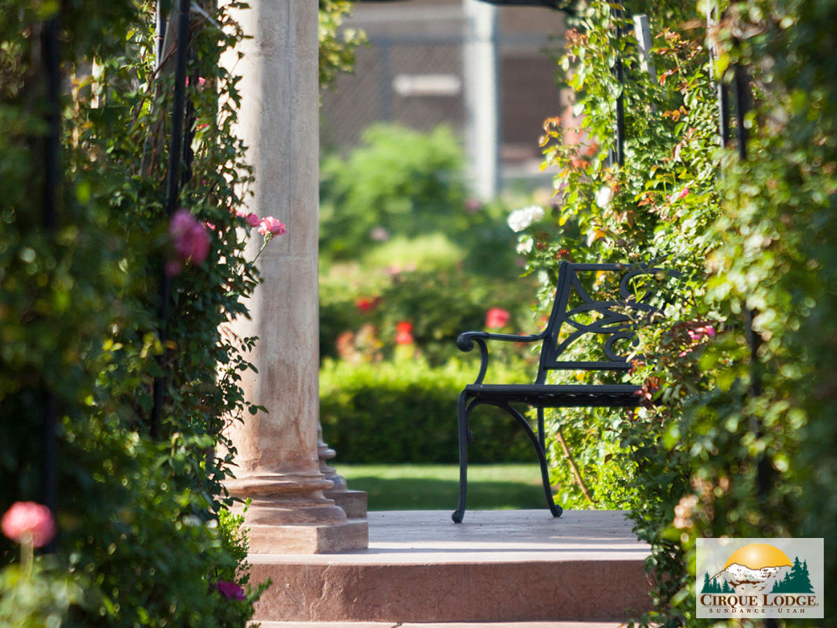 Peaceful garden walkway with flowers and an iron bench