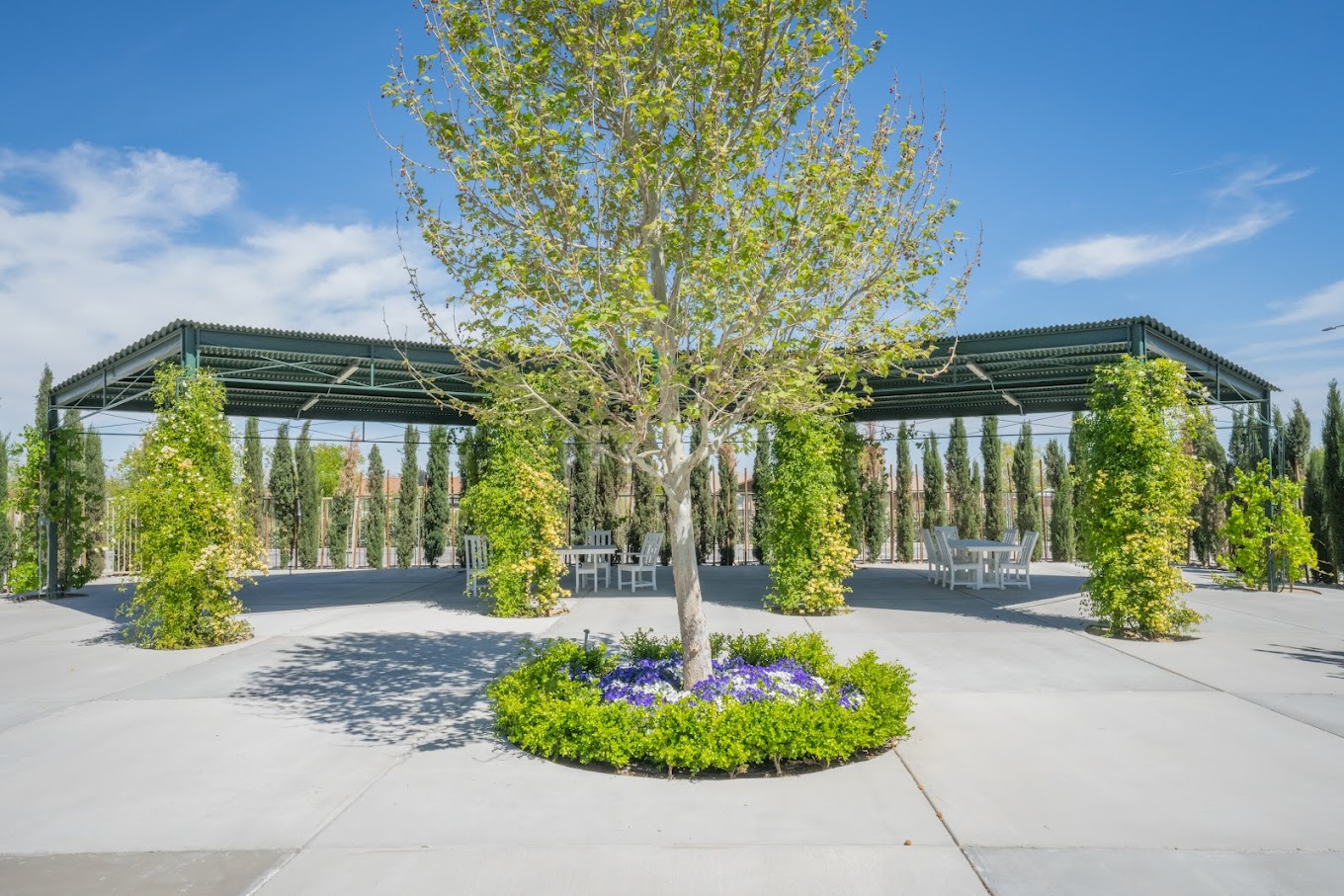 Outdoor area with a tree, flowers, and a shaded patio.