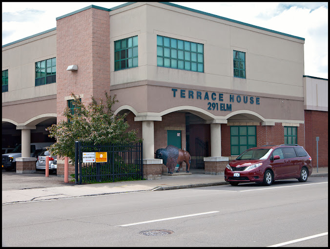 Terrace House Residential Stabilization Buffalo 2