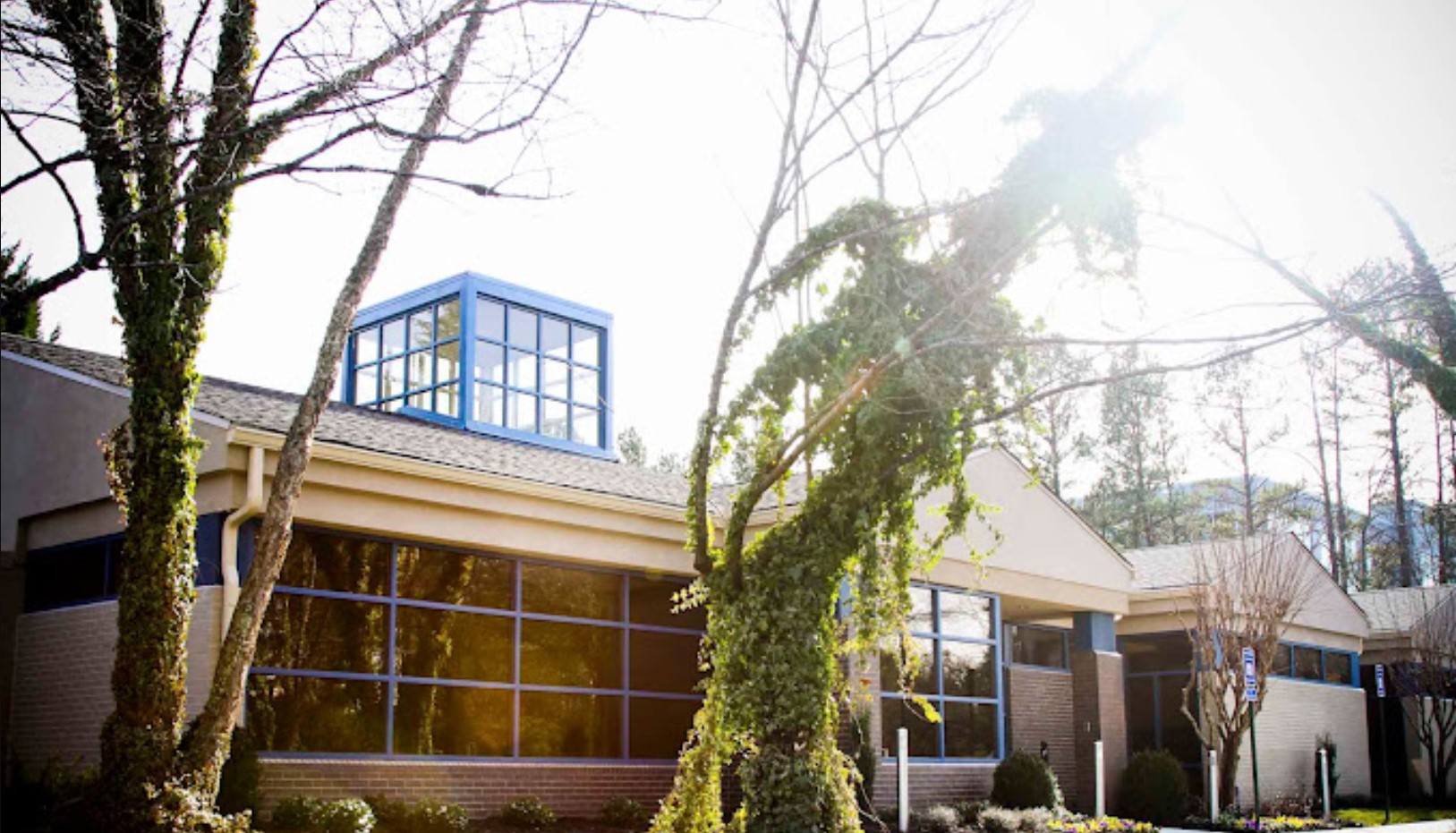 Sunrise Detox Alpharetta4