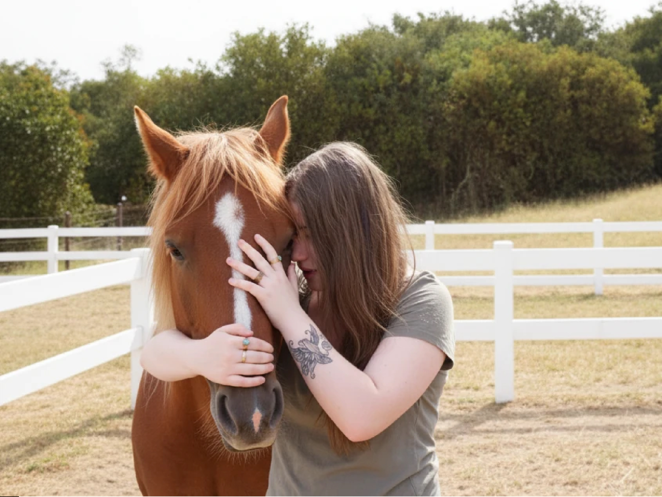An adolescent girl participates in equine therapy with a brown horse.