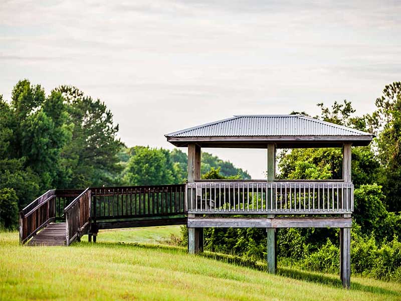 Wooden gazebo on hill overlooking trees and greenery