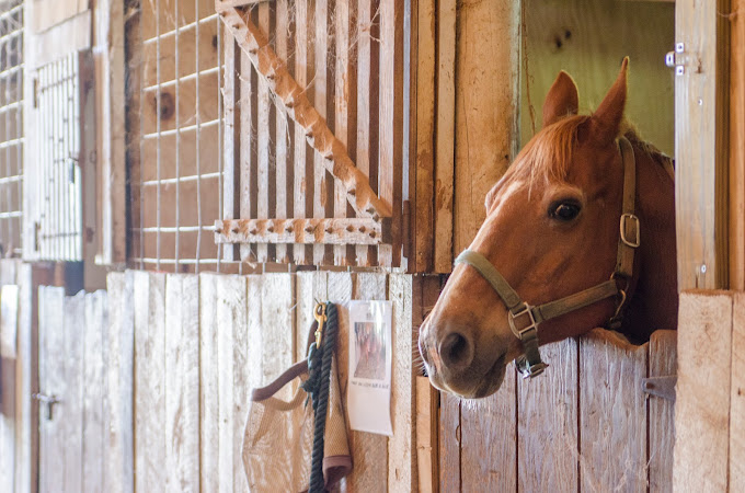 Journeypure Tennessee Alcohol And Drug Rehab Murfreesboro8