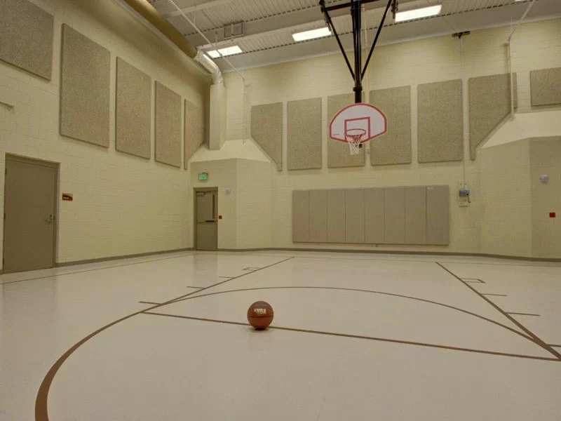 Basketball court with one hoop and acoustic panels