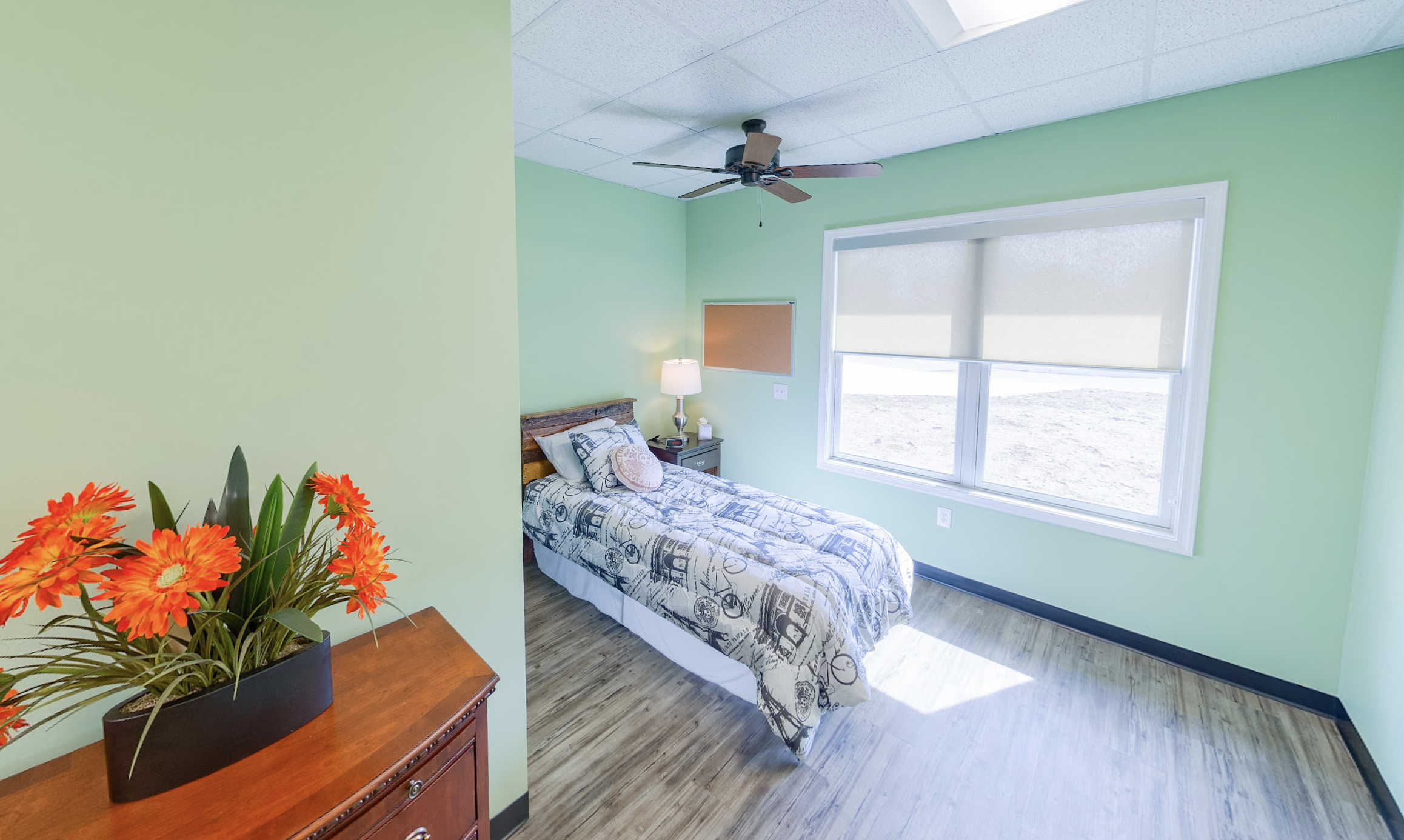 Bedroom with single bed, green walls, and large window