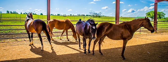 Arbor Behavioral Healthcare Georgetown 9