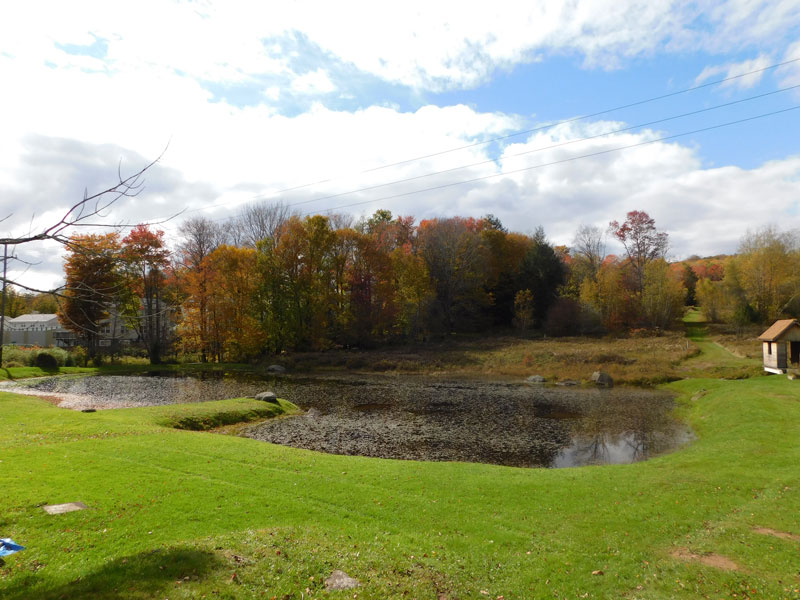 Scenic landscape with pond and autumn trees
