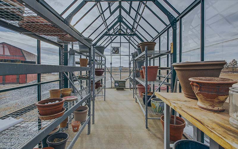 Greenhouse interior with empty pots and metal shelving.