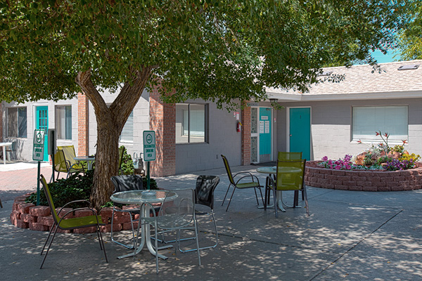 Outdoor seating area with tables and chairs under a large tree