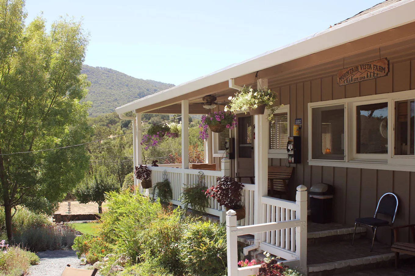 Covered wooden porch with hanging plants and outdoor seating