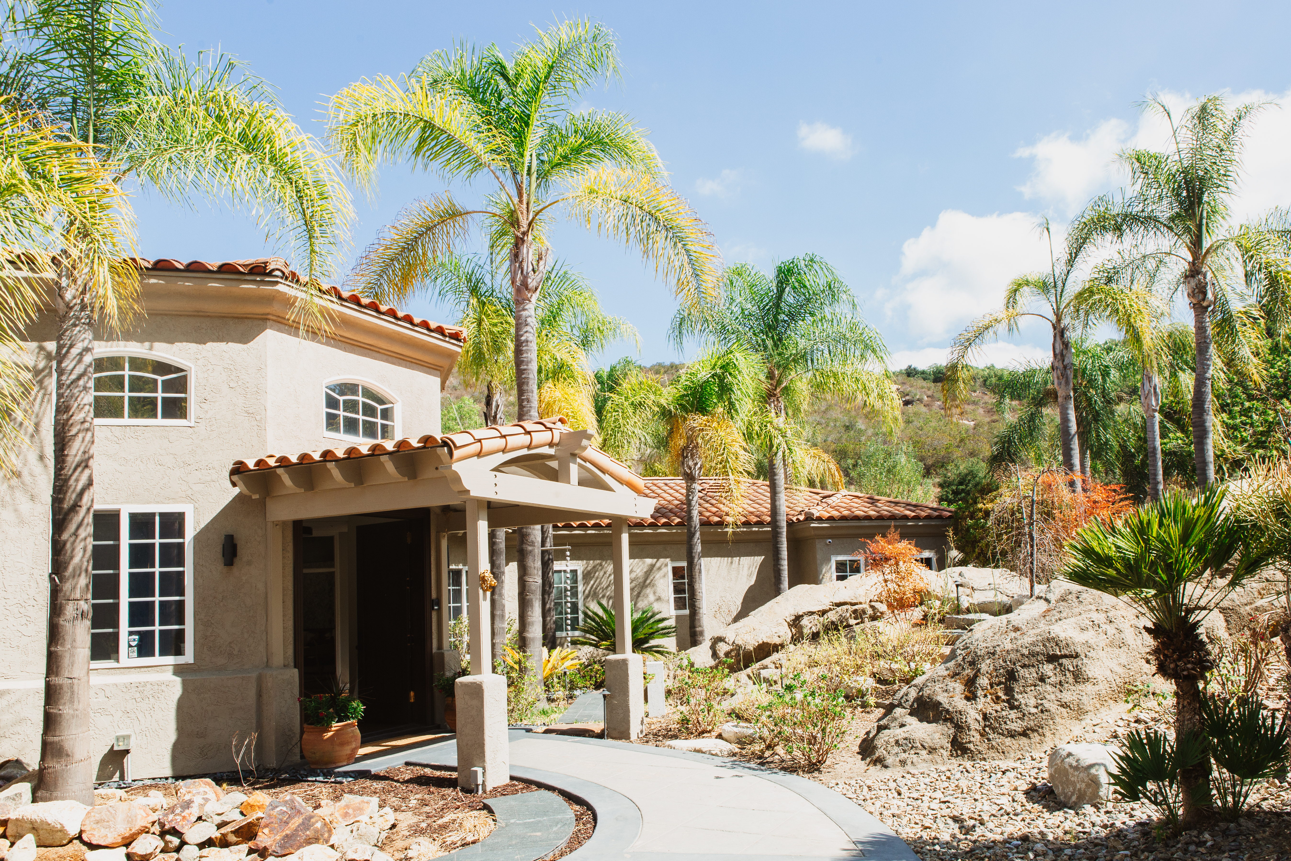 Building exterior with palm trees and landscaped walkway