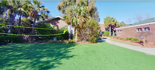 Grassy courtyard with palm trees and volleyball net