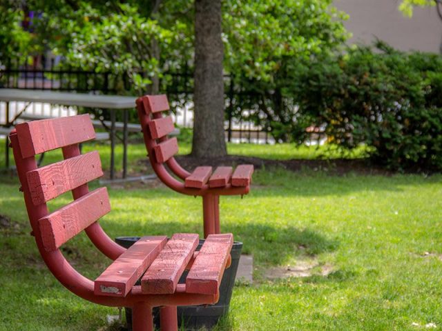 Ywca Of Rochester Monroe County Steppingstone Supportive Living Rochester 7