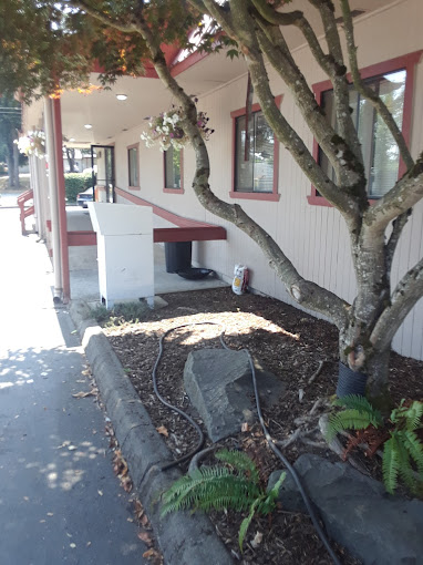 Northwest Integrated Health Lakewood Clinic Lakewood 4