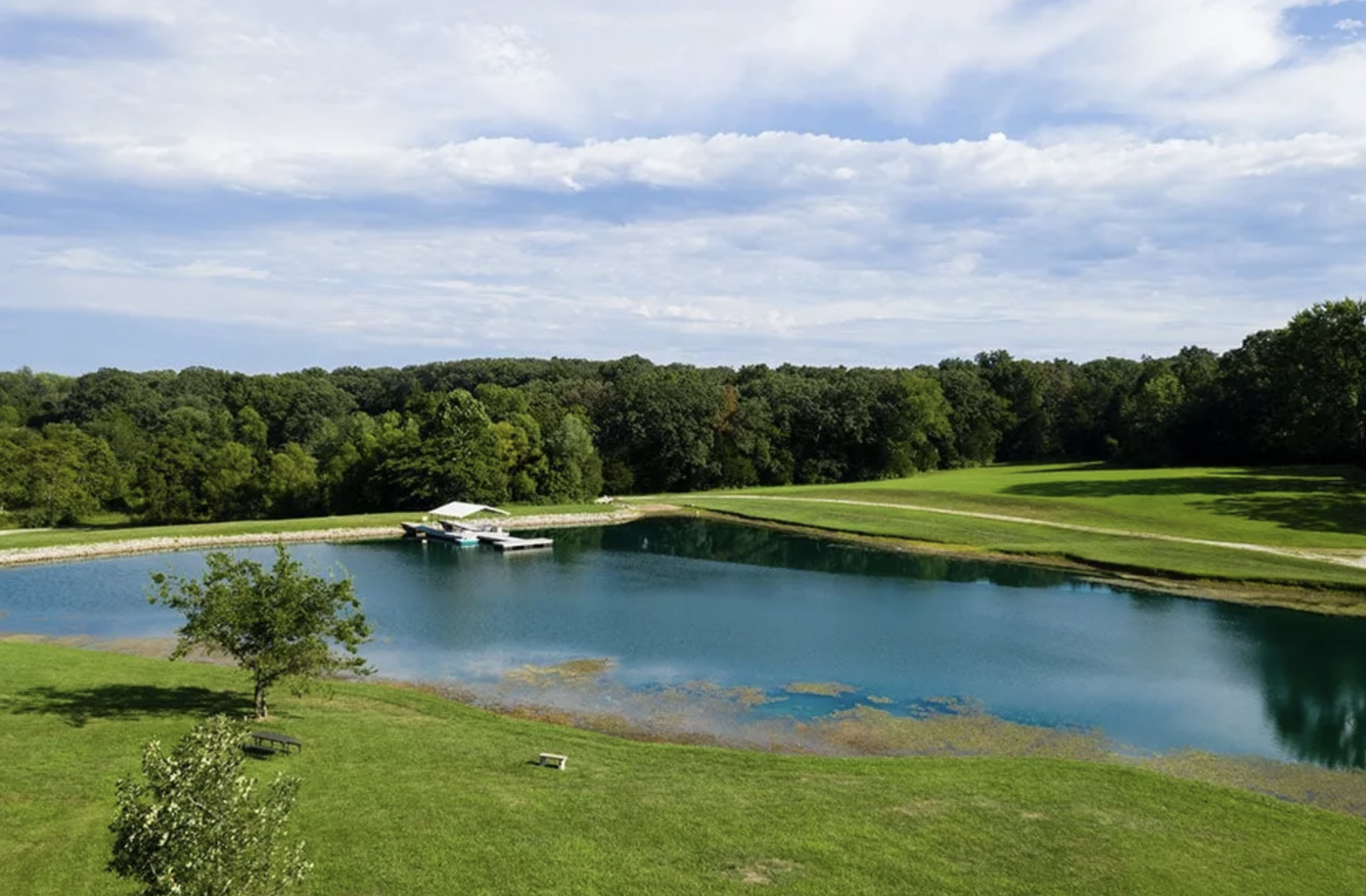 Pond surrounded by trees and grass, with a small dock.