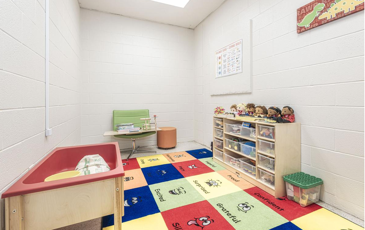 Playroom with toys, shelves, and colorful rug