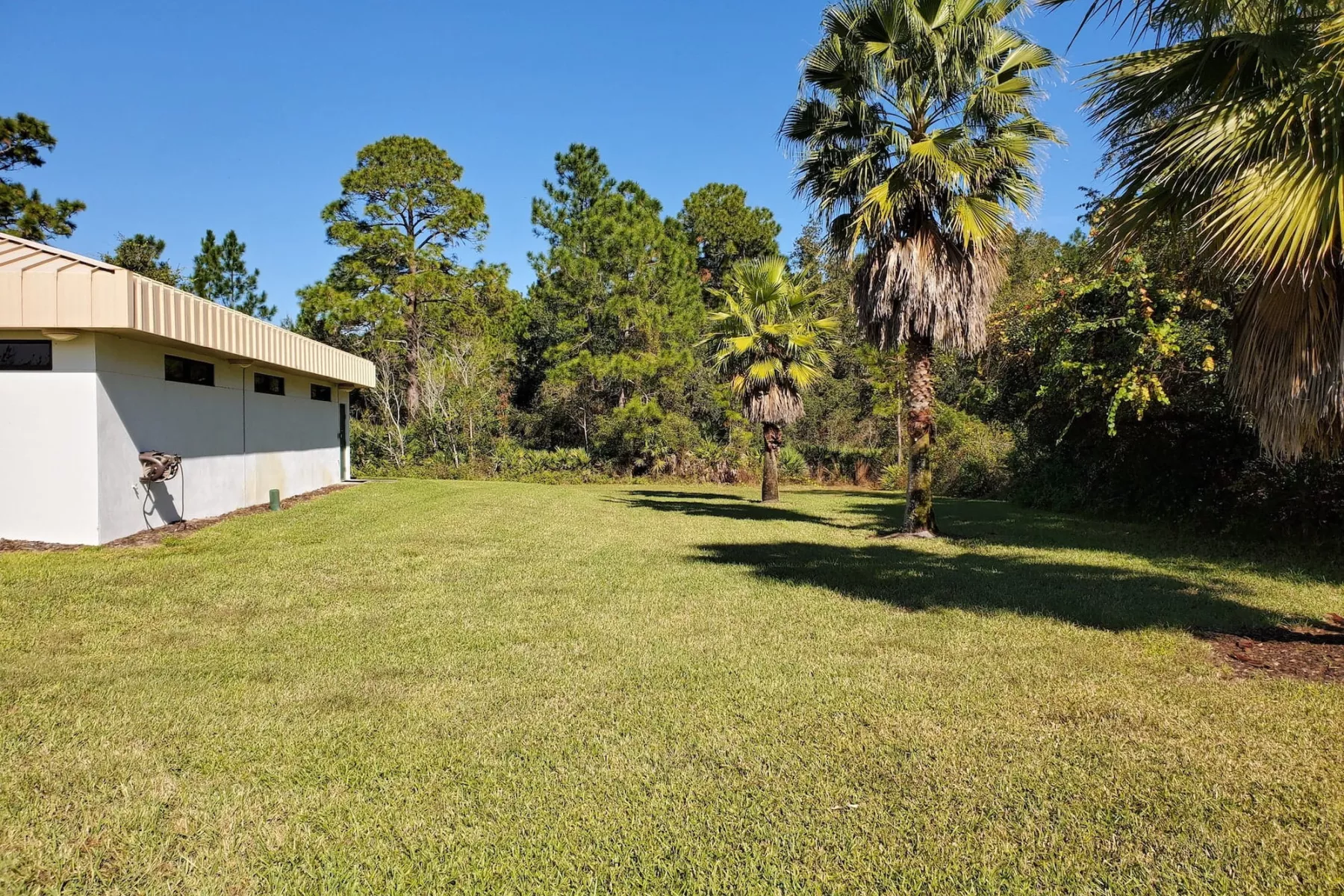 Spacious grassy yard surrounded by palm trees and greenery