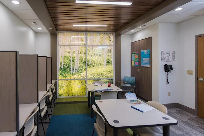 Classroom with desks, partitions, and forest wall mural